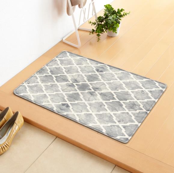 Small fresh living room floor mat Door Mat Manufacturers