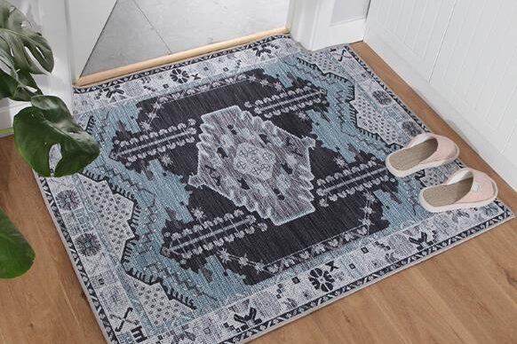 Thicken washable door mat (2)