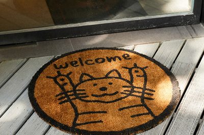 Coir Door Mats 400