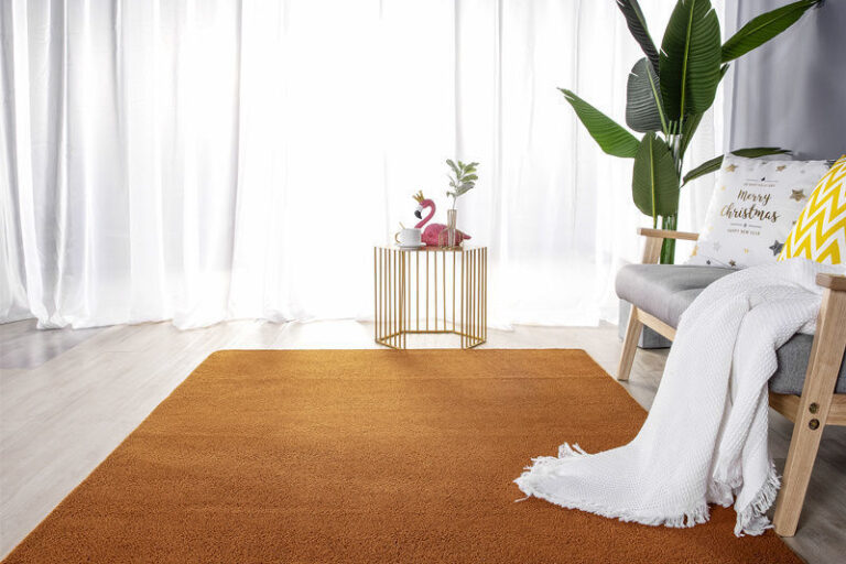 Living Room Mats (5)