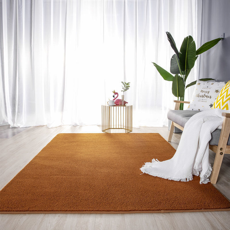 Living Room Mats (5)