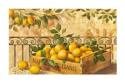 Rubber Door Mats 400